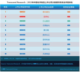 超驗視角下的中國化學(xué)制品上市公司 大數(shù)據(jù)財務(wù)安全評級深度解析