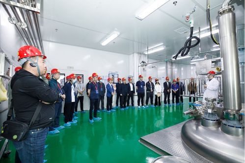 連續賦能，技術變現 連續流技術推廣現場會在敦化圓滿召開